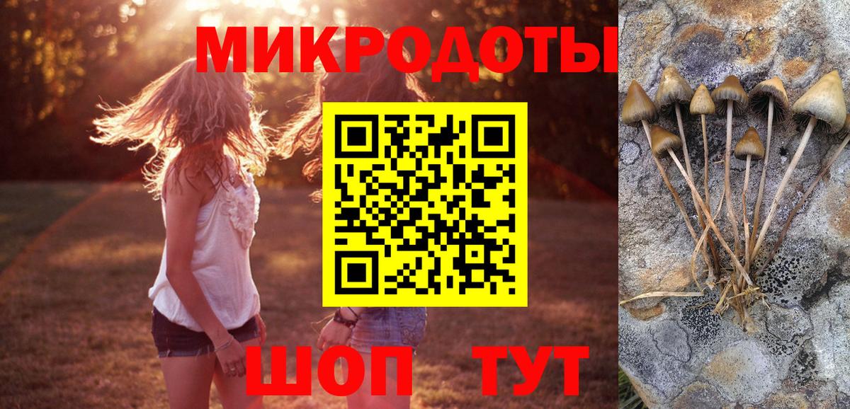 Галлюциногенные грибы ЛСД  Вход с VPN  Саранск 